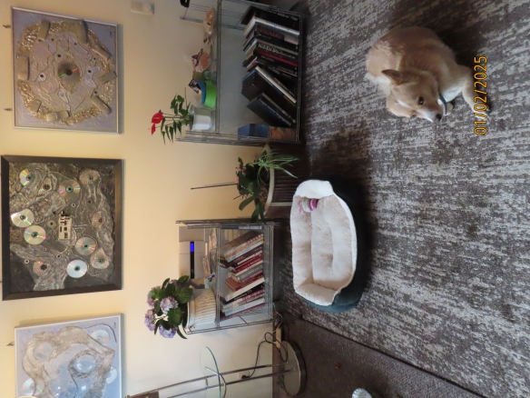 file:///C:/Users/User/Documents/Meine%20Websites/HUNDESERVICE%20NEU/lilli1942.JPG